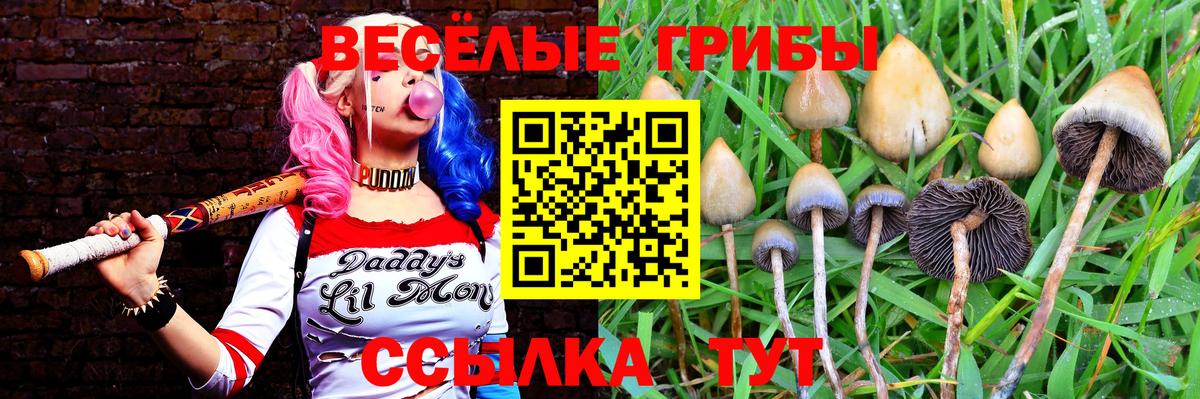 Красноярск  Псилоцибиновые грибы MAGIC MUSHROOMS  Вход с VPN 