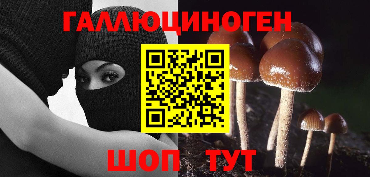 Галлюциногенные грибы MAGIC MUSHROOMS  Псилоцибиновые грибы ЛСД  купить  сайты  Красноярск 