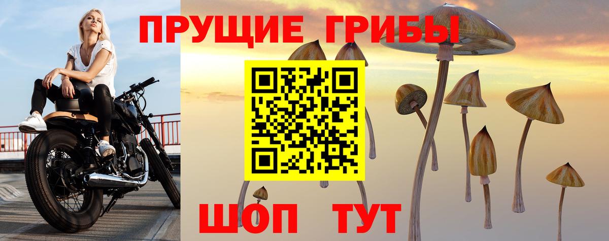 Галлюциногенные грибы Cubensis Красноярск