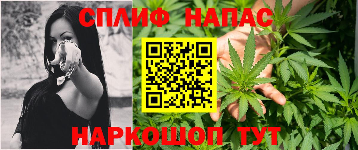 Канабис сатива Красноярск
