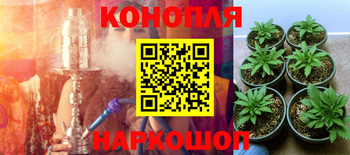 Бошки марихуана AK-47  Вход с VPN  Канабис Ganja  Красноярск  Канабис Amnesia 